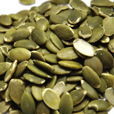 indian seeds exporter.jpg