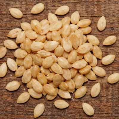 Premium tomato seeds exporter from India for global agriculture markets