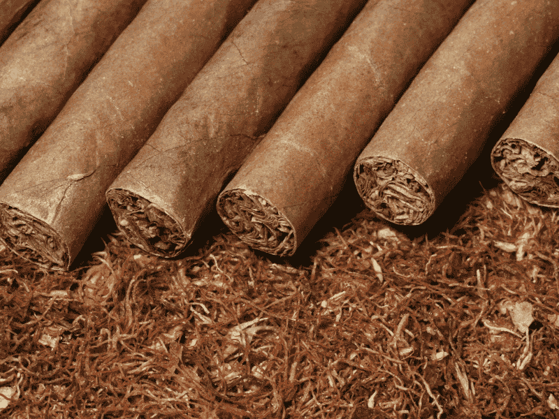 Premium cigar tobacco leaves prepared for cigar manufacturing and export