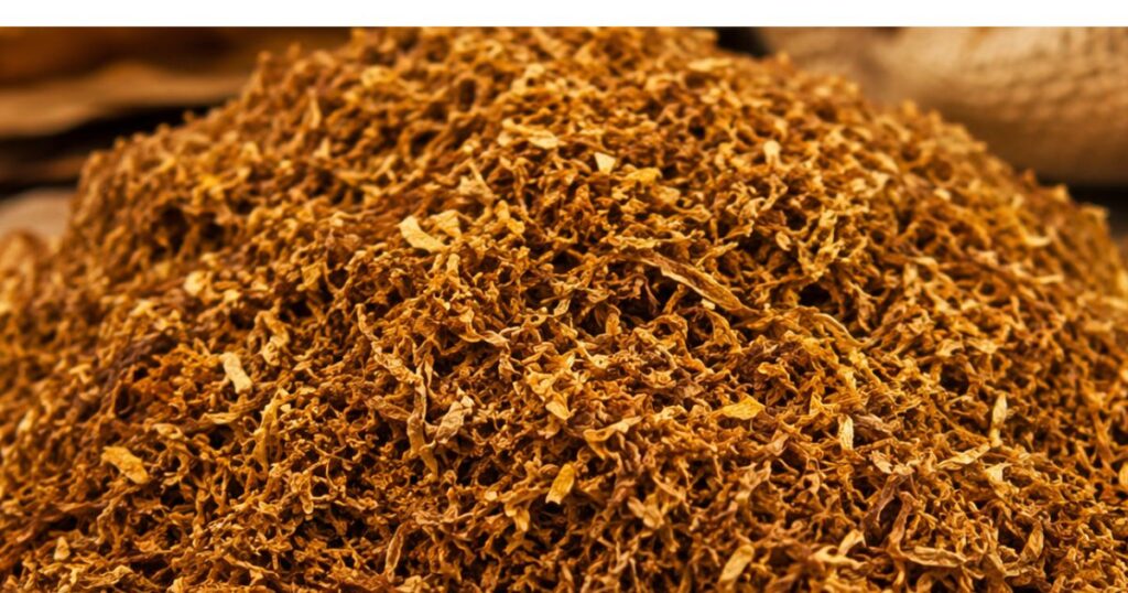 Premium Shredded Burley Tobacco for Bulk Export from India