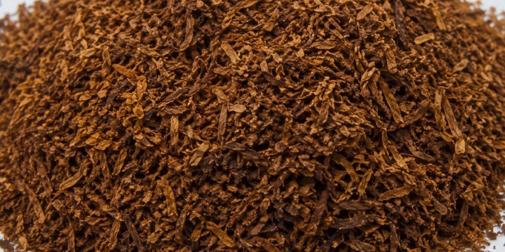 Premium Cigar Tobacco Leaves for Bulk Export from India