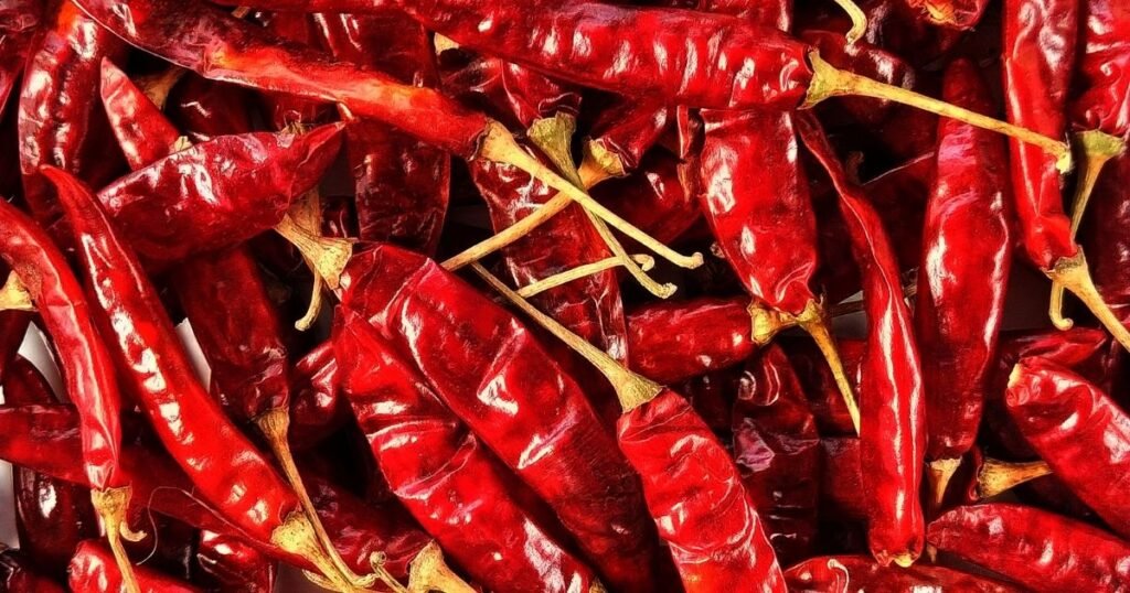 Premium Red Chilli Exporter from India