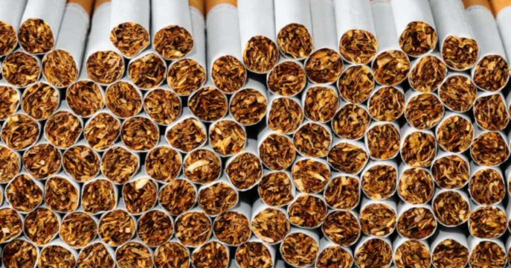 Cigarette Tobacco Exporter from India
